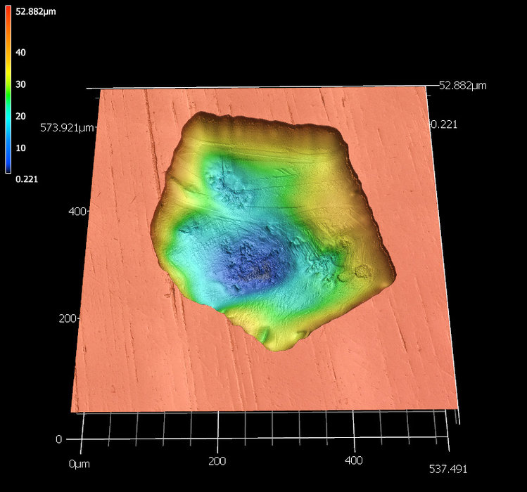 3-D Laser-Scanning-Mikroskop: EPFL
Laser-Mikroskopie: KEYENCE verbessert 3D-Bilderkennung am EPFL